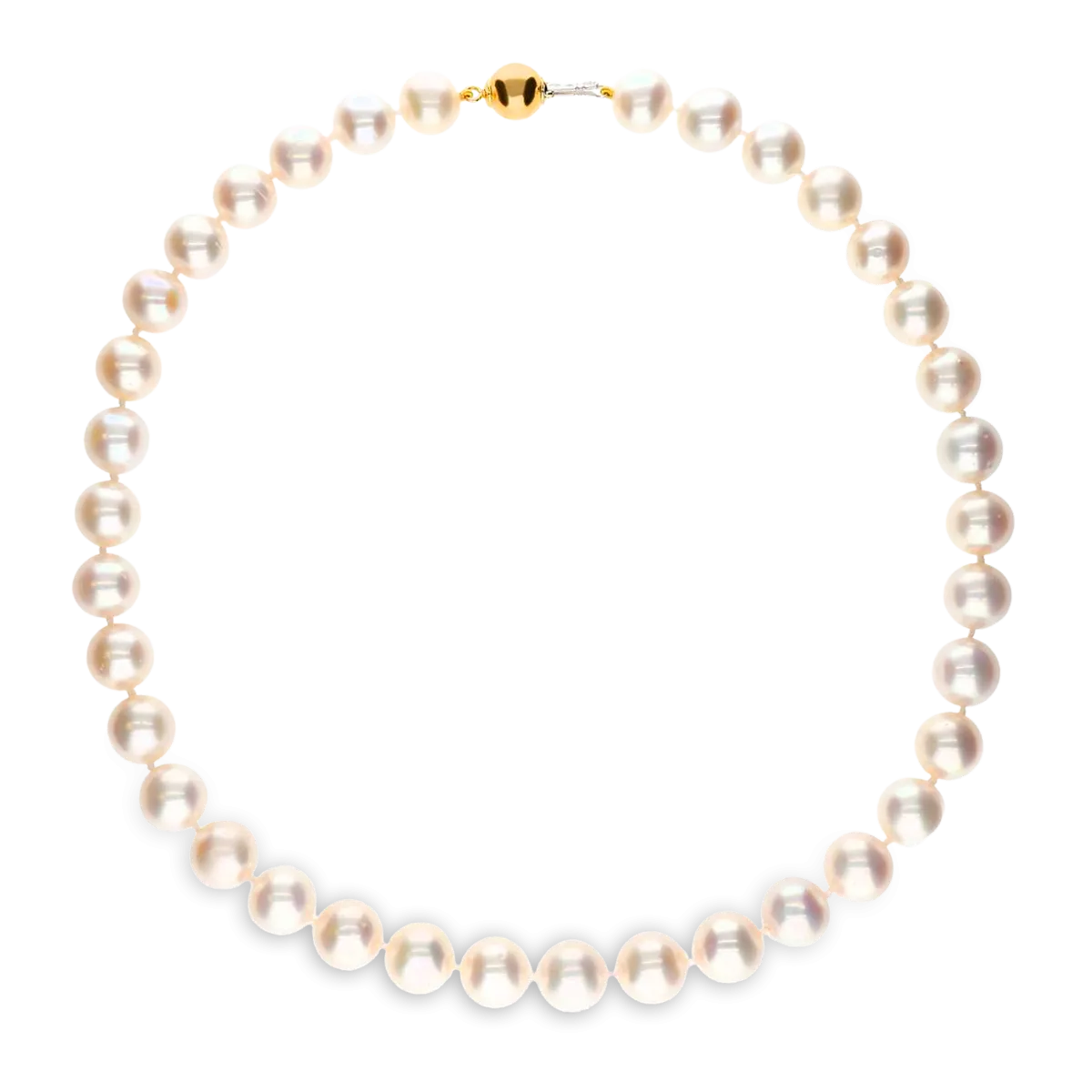 Collar de perlas con cierre oro 18 quilates