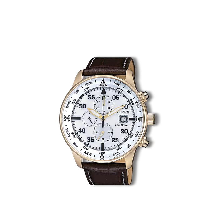 Men's Citizen watch